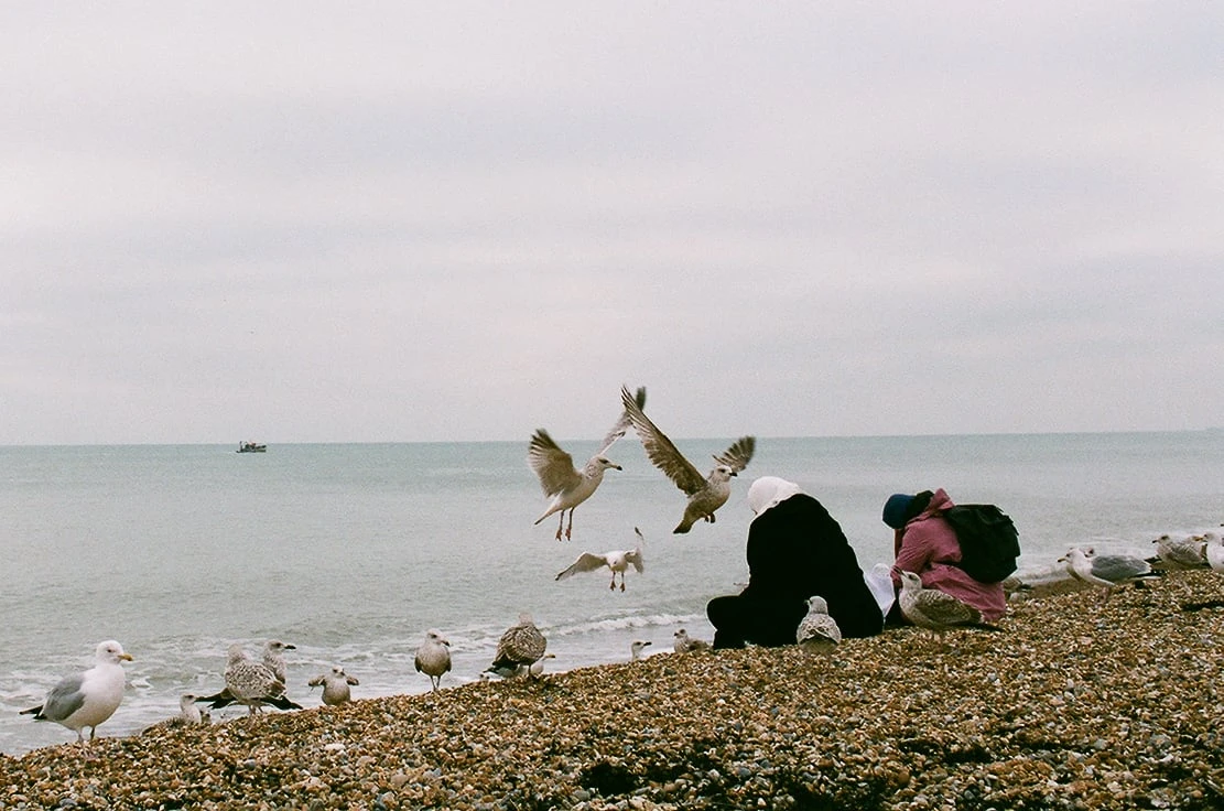 Landscape photograph made in Brighton, England.