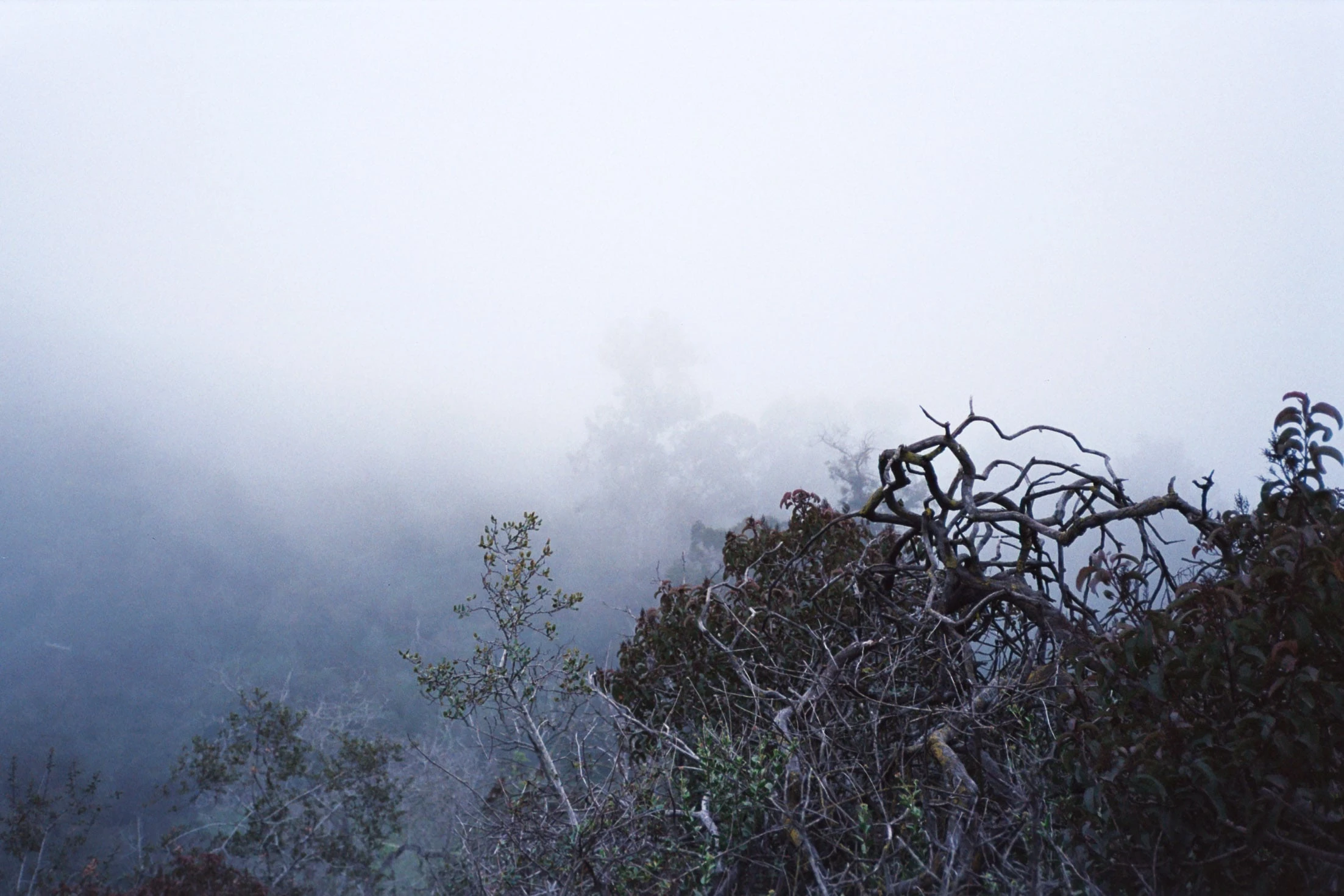 Landscape photograph made in Los Angeles, California.