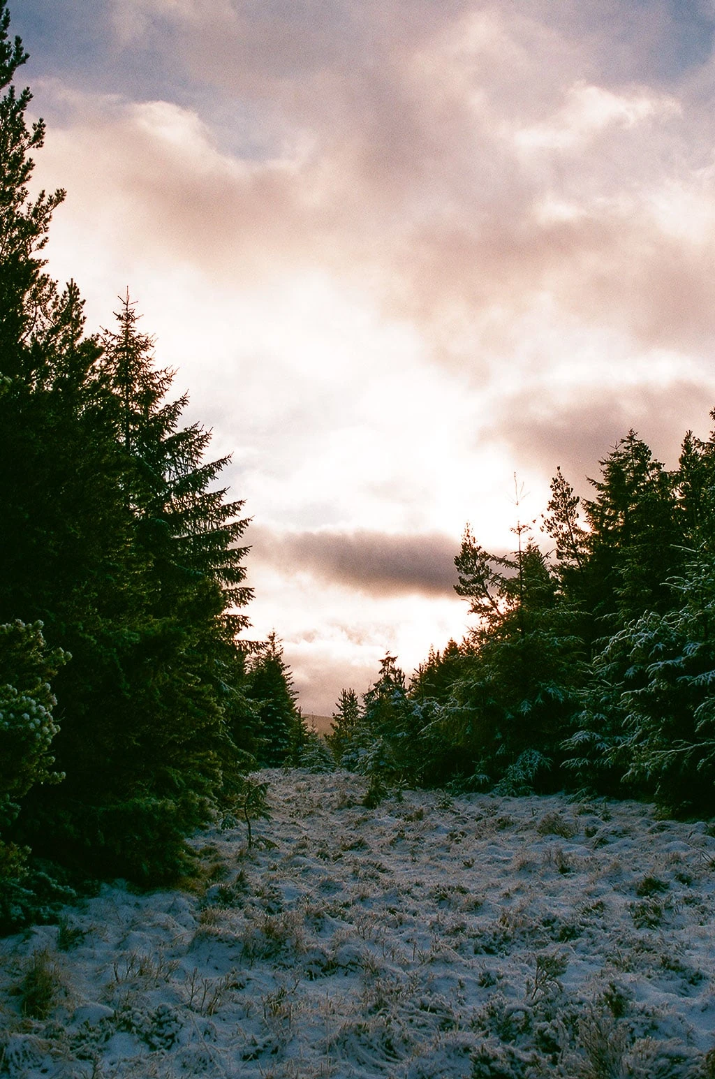 Landscape photograph made on the Isle of Skye, Scotland.